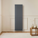 Oval enkelkolonnsradiator i antracitgrå, 1600 mm x 480 mm, med släta ytor och moderna ventiler, placerad på en vägg i ett stilrent rum