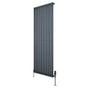 Oval enkelkolonnsradiator i antracitgrå, 1600 mm x 600 mm, med släta, vertikala lameller och synliga ventiler i metall