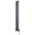 Oval enkelkolonnsradiator i antracitgrå, 1800 mm x 240 mm, med släta ytor och moderna ventiler för effektiv värme