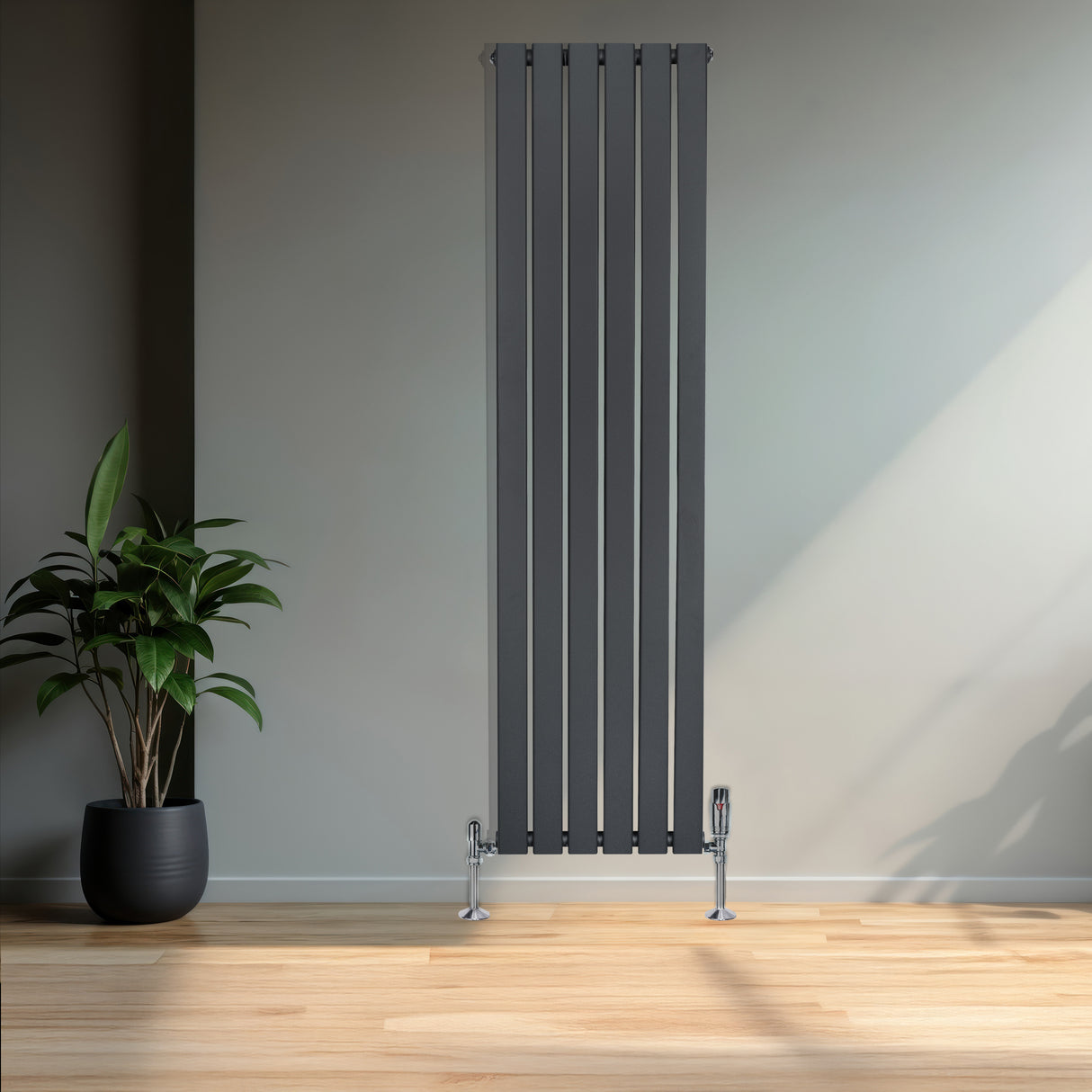 Platt antracitgrå enkelkolumnsradiator med ventiler, stående i ett rum med trägolv och en grön växt i kruka bredvid