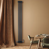 Traditionell antracitgrå 4-kolonnsradiator med ventiler, elegant design som passar perfekt i moderna och klassiska hem