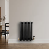Svart traditionell 4-kolonnsradiator i metall, med släta ytor och glänsande mässingsventiler, placerad mot en ljus vägg