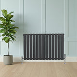 Platt enkelpelarradiator i antracitgrå, 600 x 910 mm, med släta ytor och stilren design, placerad framför en grön växt