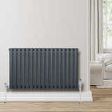 Oval enkelpelarradiator i antracitgrå, 600 x 1020 mm, med släta ytor och stilren design, placerad mot en ljus vägg i ett rum