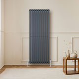 Oval enkelpelarradiator i antracitgrå, 1600 x 600 mm, med släta ytor och stilren design, placerad på en ljus vägg i ett modernt rum