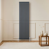 Oval enkelpelarradiator i antracitgrå, 1800 x 480 mm, med släta ytor och stilren design, placerad på en vägg i ett ljust rum