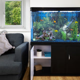 Akvarium med Svart Skåp & Blå Sand