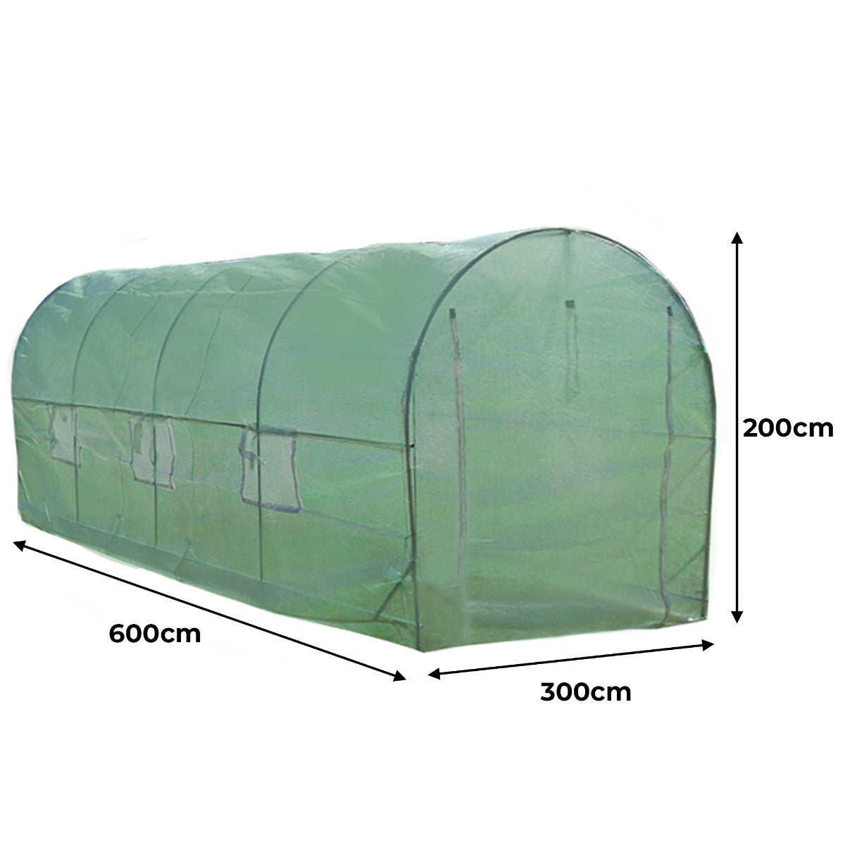 25mm 6m x 3m Tunnelväxthus med 2 Växthushyllor