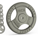 Viktplattor i gjutjärn - Standard 1" Tri Grip par (1,25 - 25 kg)