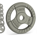 Viktskivor i gjutjärn - 1" standard tri-grepp par (1,25 - 25 kg)