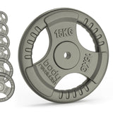 Viktskivor i gjutjärn - 1" Standard Tri Grip Par (1,25 - 25 kg)